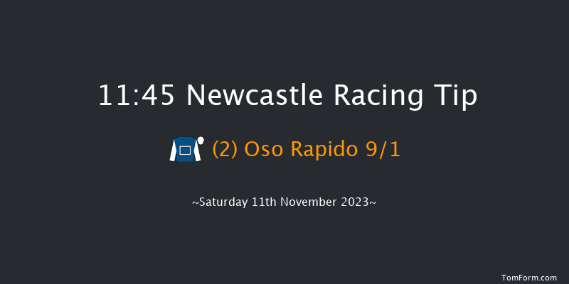 Newcastle 11:45 Handicap (Class 4) 7f Fri 10th Nov 2023