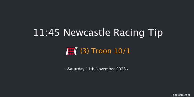 Newcastle 11:45 Handicap (Class 4) 7f Fri 10th Nov 2023