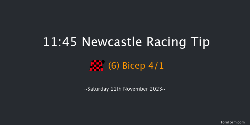 Newcastle 11:45 Handicap (Class 4) 7f Fri 10th Nov 2023