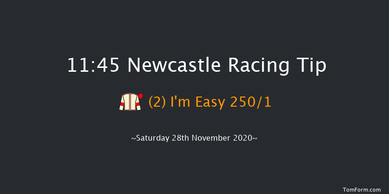 Alnorthumbria Veterinary Group Introductory Juvenile Hurdle (GBB Race) Newcastle 11:45 Conditions Hurdle (Class 2) 16f Fri 20th Nov 2020