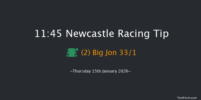 Newcastle 11:45 (Class 4) 16f Tue 13th Jan 2026