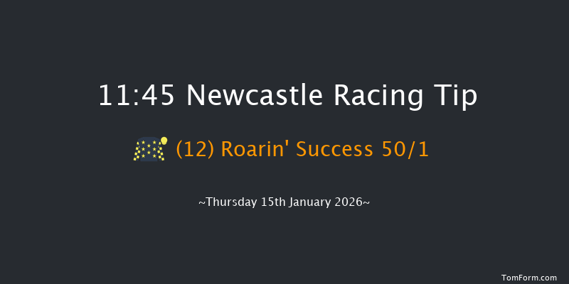 Newcastle 11:45 (Class 4) 16f Tue 13th Jan 2026