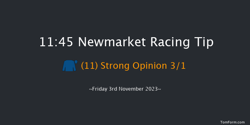 Newmarket 11:45 Stakes (Class 4) 7f Sat 14th Oct 2023