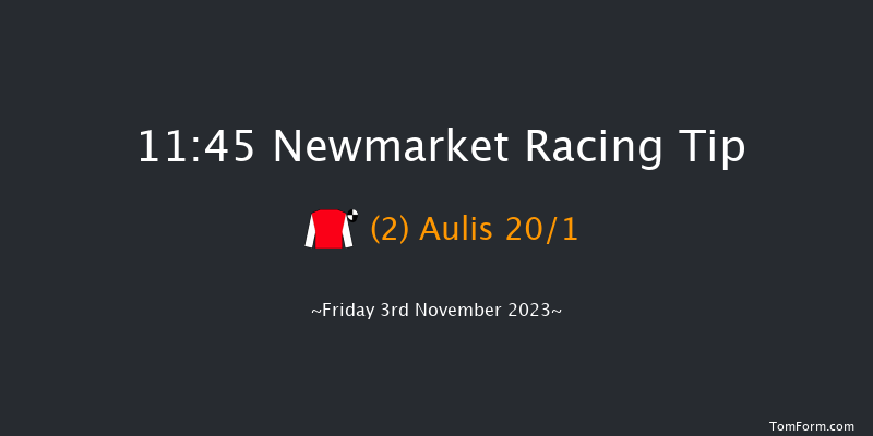 Newmarket 11:45 Stakes (Class 4) 7f Sat 14th Oct 2023