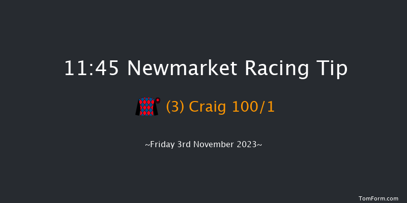 Newmarket 11:45 Stakes (Class 4) 7f Sat 14th Oct 2023
