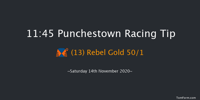 Roche Group At Vista Beginners Chase Punchestown 11:45 Maiden Chase 20f Wed 28th Oct 2020