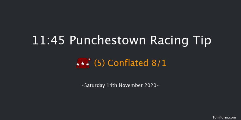 Roche Group At Vista Beginners Chase Punchestown 11:45 Maiden Chase 20f Wed 28th Oct 2020