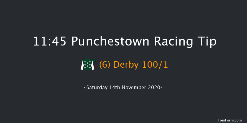 Roche Group At Vista Beginners Chase Punchestown 11:45 Maiden Chase 20f Wed 28th Oct 2020