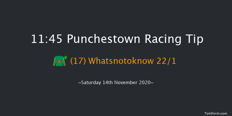 Roche Group At Vista Beginners Chase Punchestown 11:45 Maiden Chase 20f Wed 28th Oct 2020