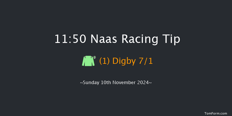 Naas  11:50 Handicap Chase 20f Sun 13th Oct 2024