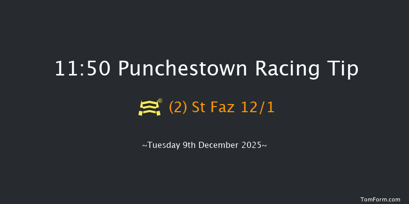 Punchestown 11:50 16f Sun 23rd Nov 2025
