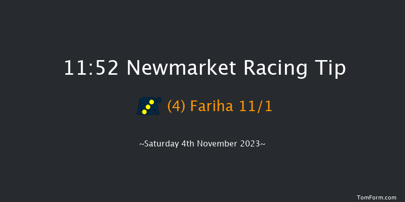 Newmarket 11:52 Stakes (Class 4) 7f Fri 3rd Nov 2023