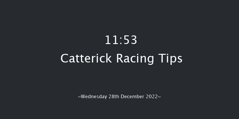 Catterick 11:53 Handicap Chase (Class 5) 19f Mon 28th Nov 2022