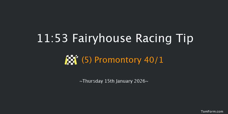 Fairyhouse 11:53 16f Wed 14th Jan 2026