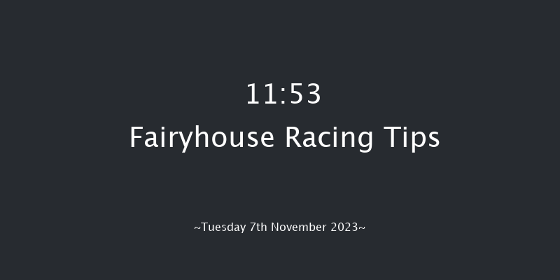 Fairyhouse 11:53 Maiden Chase 16f Sat 7th Oct 2023