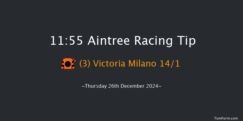 Aintree  11:55 Handicap Hurdle (Class 4) 20f Sat 9th Nov 2024