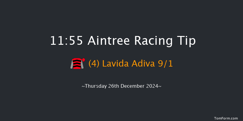 Aintree  11:55 Handicap Hurdle (Class 4) 20f Sat 9th Nov 2024