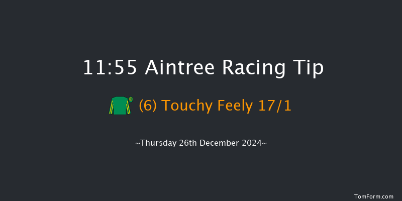 Aintree  11:55 Handicap Hurdle (Class 4) 20f Sat 9th Nov 2024