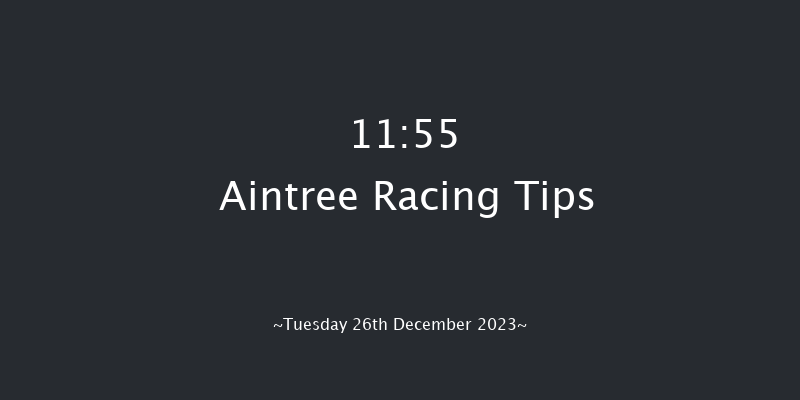 Aintree 11:55 Handicap Hurdle (Class 4) 20f Sat 9th Dec 2023