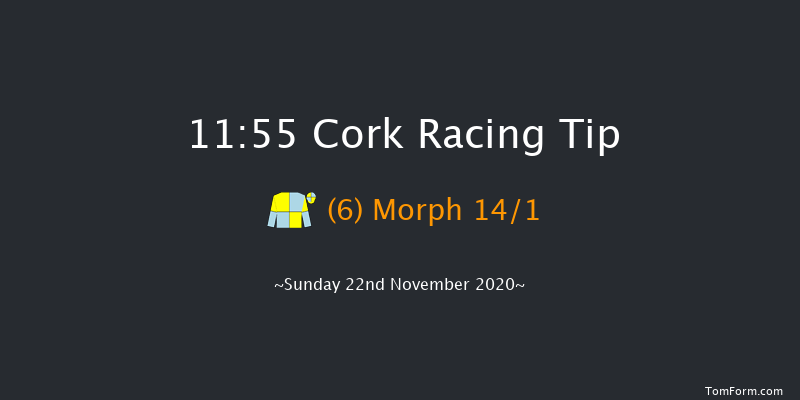 Sobac Soil.ie Used On Cork Racecourse Maiden Hurdle (Div 1) Cork 11:55 Maiden Hurdle 16f Sun 1st Nov 2020