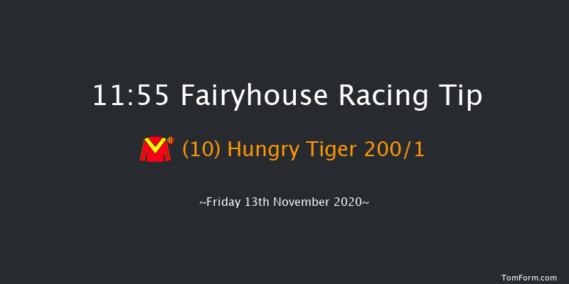 Irish Stallion Farms EBF Beginners Chase Fairyhouse 11:55 Maiden Chase 21f Tue 10th Nov 2020