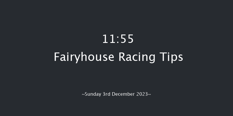 Fairyhouse 11:55 Handicap Chase 20f Sat 2nd Dec 2023