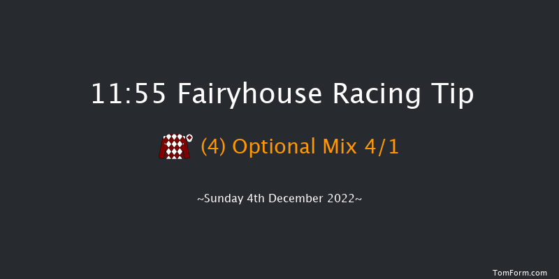 Fairyhouse 11:55 Handicap Chase 20f Sat 3rd Dec 2022