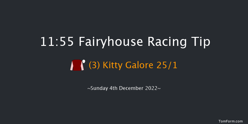 Fairyhouse 11:55 Handicap Chase 20f Sat 3rd Dec 2022