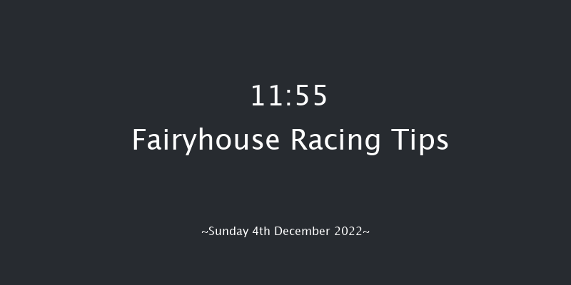 Fairyhouse 11:55 Handicap Chase 20f Sat 3rd Dec 2022