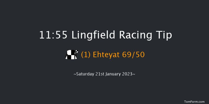 Lingfield 11:55 Handicap (Class 5) 16f Sat 14th Jan 2023