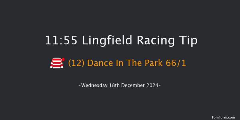 Lingfield  11:55 Maiden Hurdle (Class 4) 20f Wed 4th Dec 2024