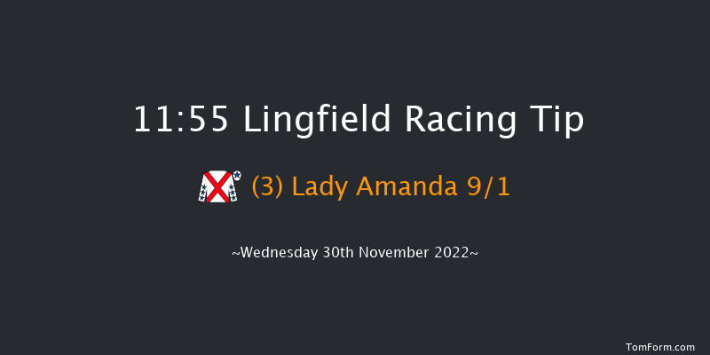 Lingfield 11:55 Handicap (Class 6) 7f Tue 29th Nov 2022