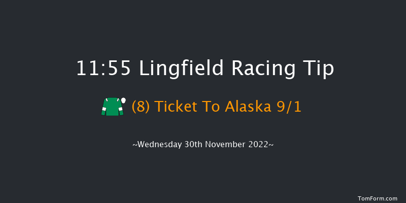 Lingfield 11:55 Handicap (Class 6) 7f Tue 29th Nov 2022