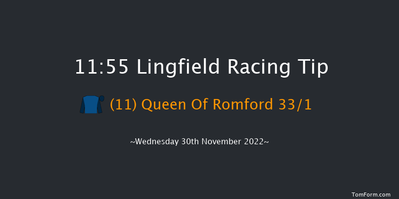 Lingfield 11:55 Handicap (Class 6) 7f Tue 29th Nov 2022