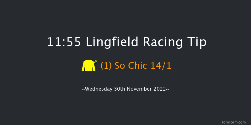 Lingfield 11:55 Handicap (Class 6) 7f Tue 29th Nov 2022