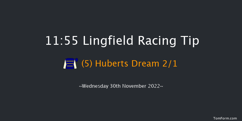 Lingfield 11:55 Handicap (Class 6) 7f Tue 29th Nov 2022