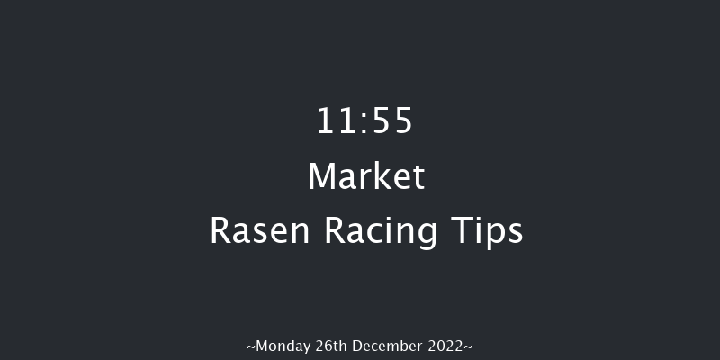 Market Rasen 11:55 Handicap Hurdle (Class 5) 17f Thu 1st Dec 2022
