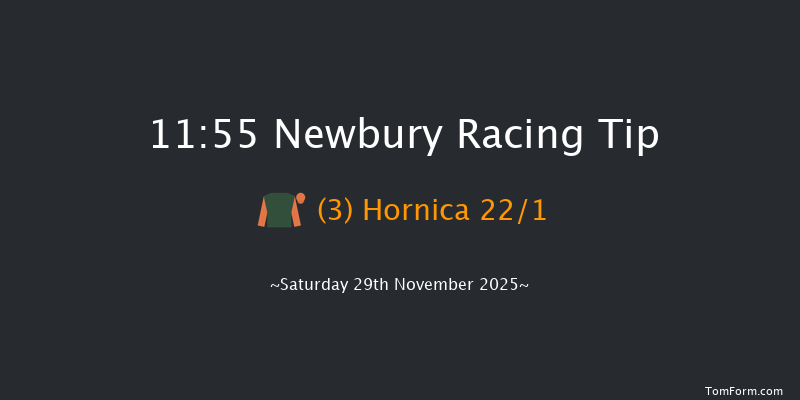 Newbury 11:55 (Class 1) 16f Fri 28th Nov 2025