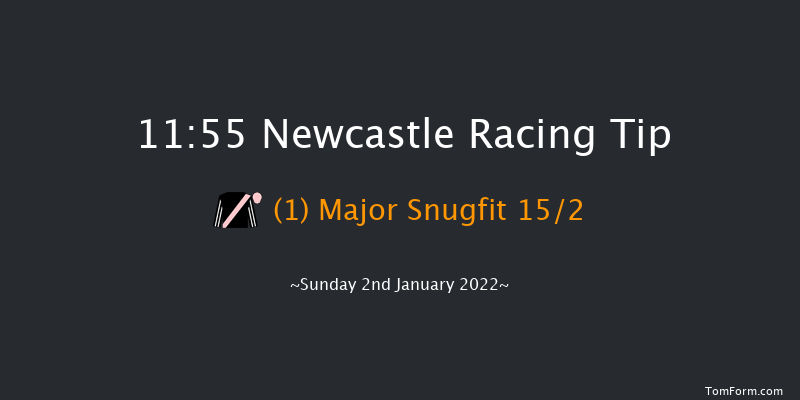 Newcastle 11:55 Handicap (Class 5) 12f Tue 28th Dec 2021