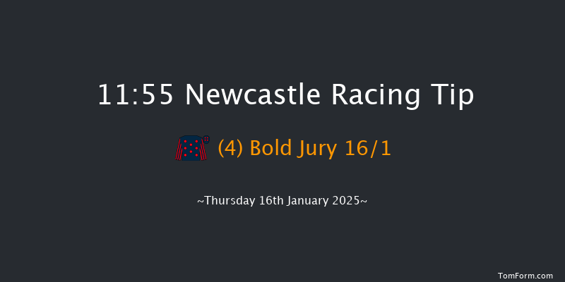 Newcastle  11:55 Maiden Hurdle (Class 4) 17f Tue 14th Jan 2025