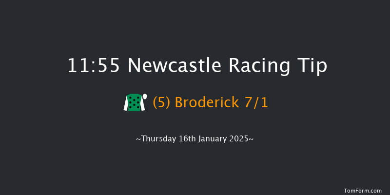 Newcastle  11:55 Maiden Hurdle (Class 4) 17f Tue 14th Jan 2025