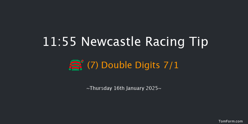 Newcastle  11:55 Maiden Hurdle (Class 4) 17f Tue 14th Jan 2025
