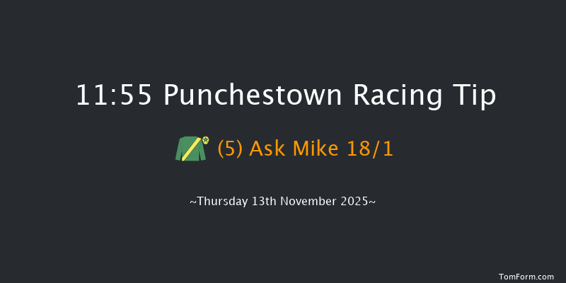 Punchestown 11:55 24f Wed 15th Oct 2025