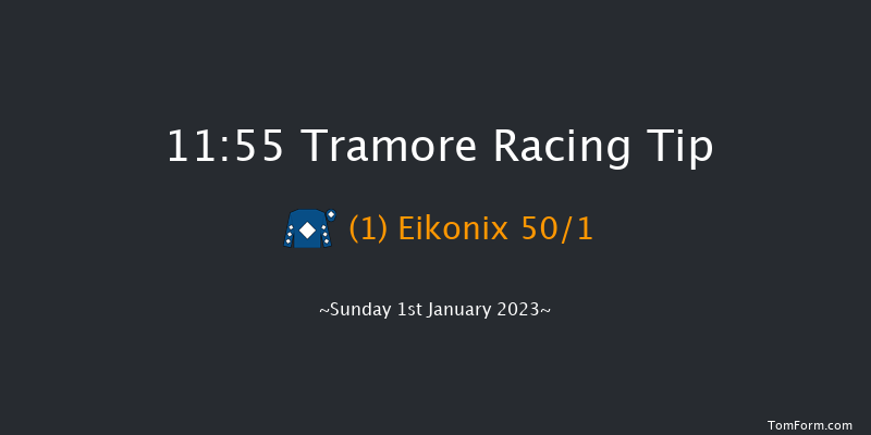 Tramore 11:55 Maiden Hurdle 16f Tue 6th Dec 2022