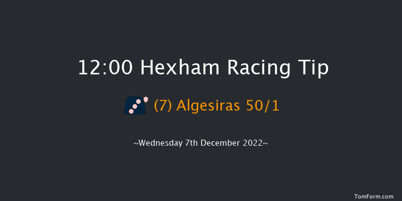 Hexham 12:00 Handicap Hurdle (Class 4) 20f Wed 16th Nov 2022