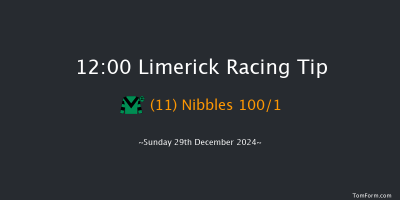 Limerick  12:00 Conditions Chase 22f Sat 28th Dec 2024