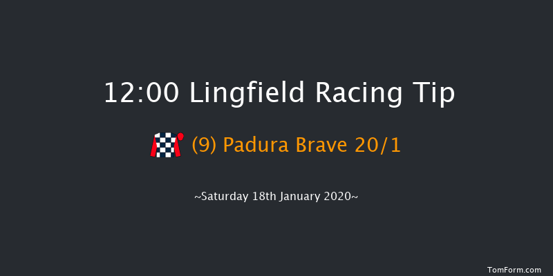 Lingfield 12:00 Handicap (Class 6) 10f Fri 17th Jan 2020