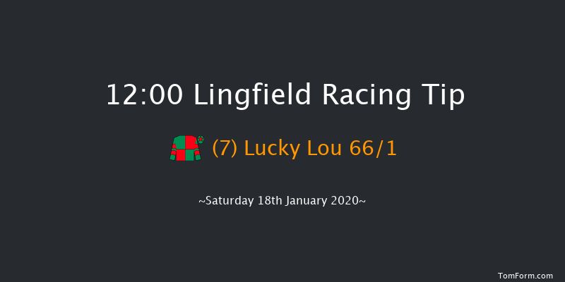 Lingfield 12:00 Handicap (Class 6) 10f Fri 17th Jan 2020