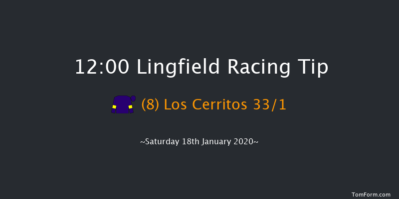 Lingfield 12:00 Handicap (Class 6) 10f Fri 17th Jan 2020