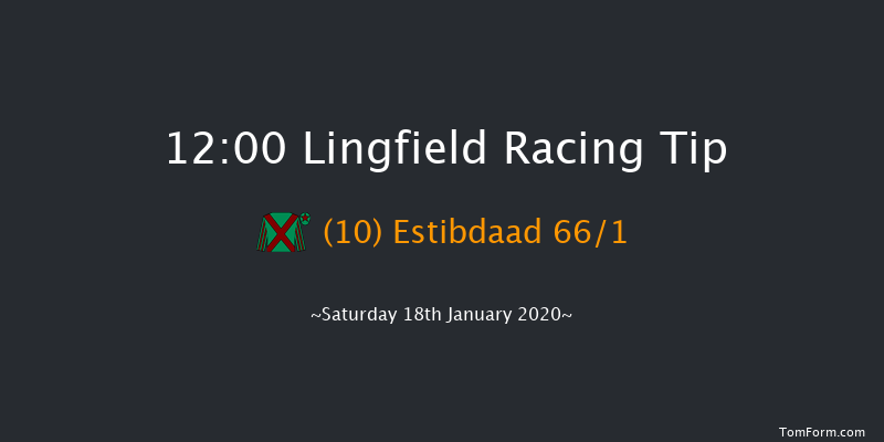 Lingfield 12:00 Handicap (Class 6) 10f Fri 17th Jan 2020